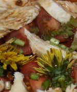 Löwenzahnsalat mit Tomate und Mozalella Löwenzahnsalat mit Tomate und Mozalella
