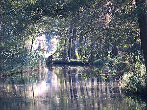116 - Groes Flie