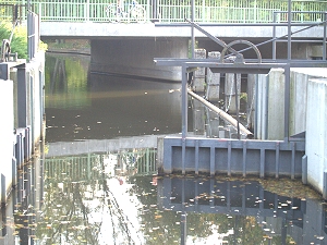 Gro Wasserburg