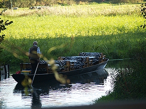 Lbbenau Schneidemhlschleuse