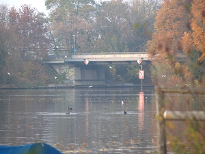 Mggelspree,  Dmritzsee