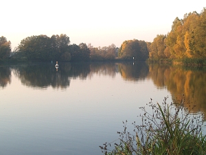 Schwielochsee, Abflu, Leinitz