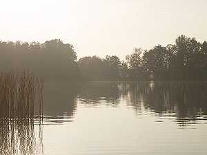 Spree - Schwielochsee - Zuflu, Glowe-Campingplatz