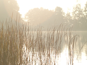 Spree - Schwielochsee - Zuflu, Glowe-Campingplatz