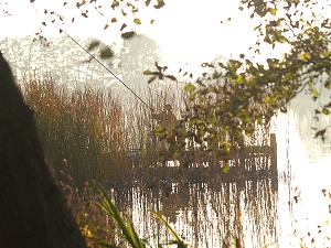 Spree - Schwielochsee - Zuflu, Glowe-Campingplatz