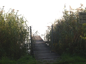 Spree - Schwielochsee - Zuflu, Glowe-Campingplatz