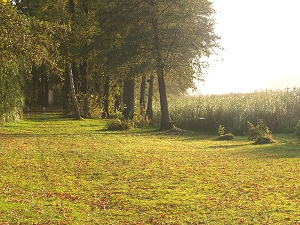 Spree - Schwielochsee - Zuflu, Glowe-Campingplatz