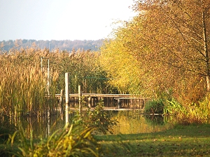 Spree - Schwielochsee - Zuflu, Glowe-Campingplatz