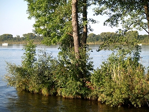 Dahme Wasserstrae Dolgensee