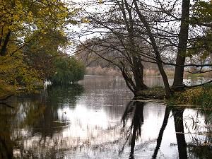 FK Schleuse Leesenbrck