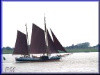 Zeese-Wilhelmine Zeese-Wilhelmine