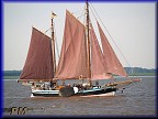 Zeese-Wilhelmine Zeese-Wilhelmine