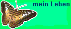 mein Leben