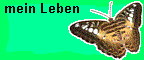 mein Leben